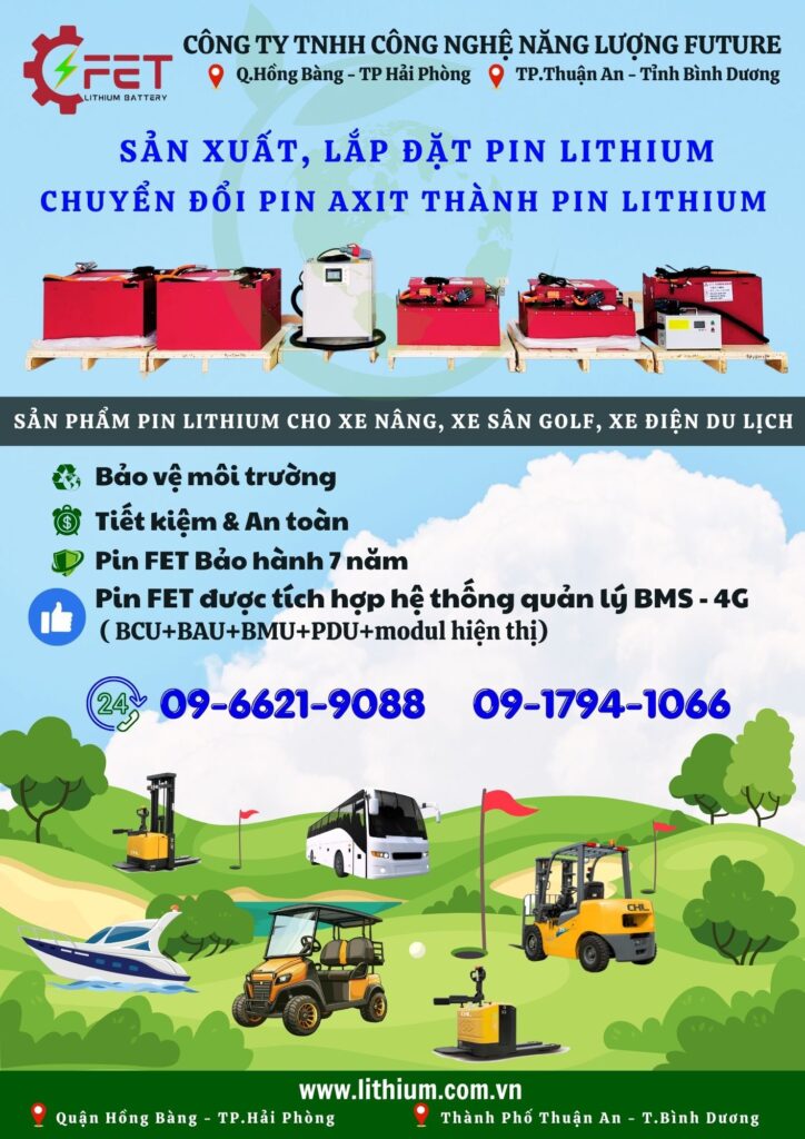 Pin Lithium Xe Điện Việt Nam